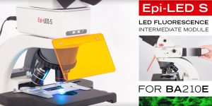 Epi Fluorescence Led Module