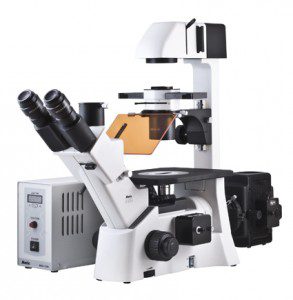 Motic AE31E +EPI-Fluorescence with 100w lamphouse