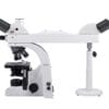 Motic BAT310 MVH Multi Head Discussion Microscope
