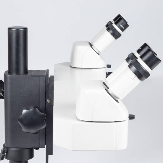 Microscope News from MMS Microscopes Motic Microscopes UK Importer