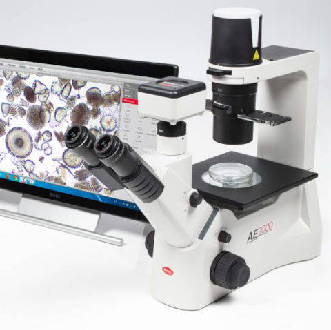 Motic Microscopes AE2000 Trino Inverted Biosciences Lab Microscope