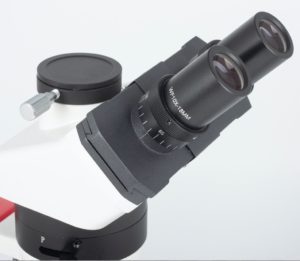 Trino Pol microscope PM1823