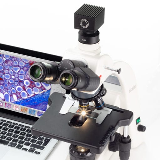 Moticam Pro S5 Lite & Pro S5 Plus - Low Light Microscope Imaging Camera - Image 2