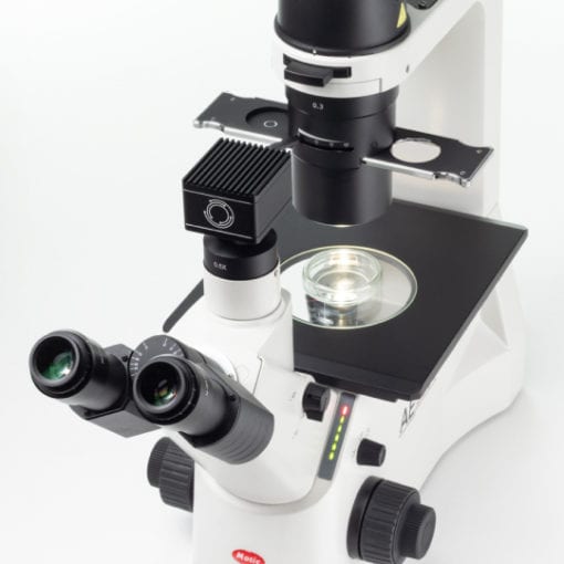 Low light microscope camera